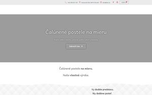 Náhľad webovej stránky davi.sk | Screenshot domény