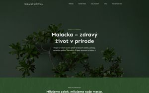 Náhľad webovej stránky malackasosovica.sk | Screenshot domény