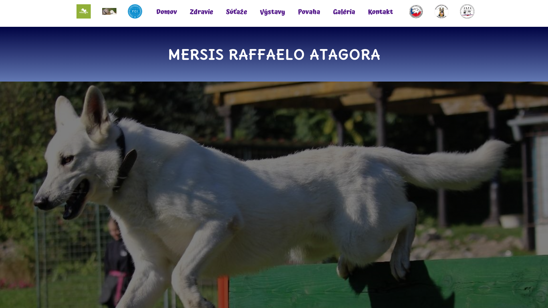 Screenshot domény raffaelowhiteshepherd.sk | Raffael Atagora