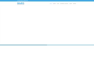 Náhľad webovej stránky msbs.sk | Screenshot domény