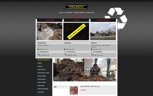 Náhľad webovej stránky vykupmedipalkov.sk | Screenshot domény